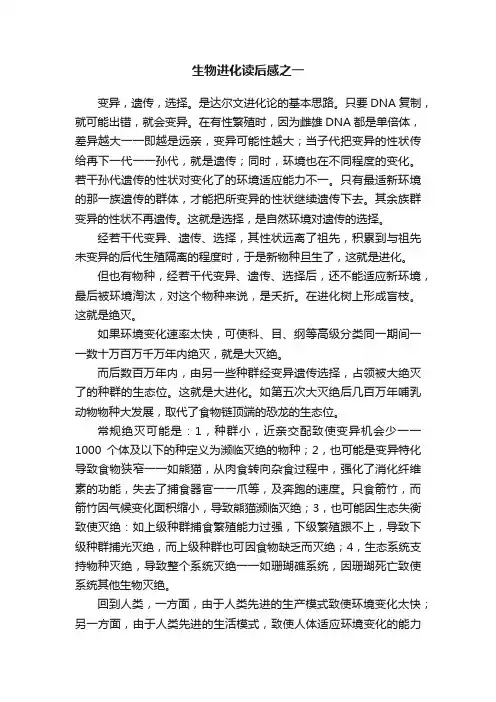 生物进化读后感之一