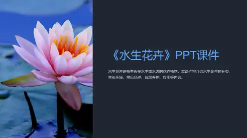 《水生花卉》课件