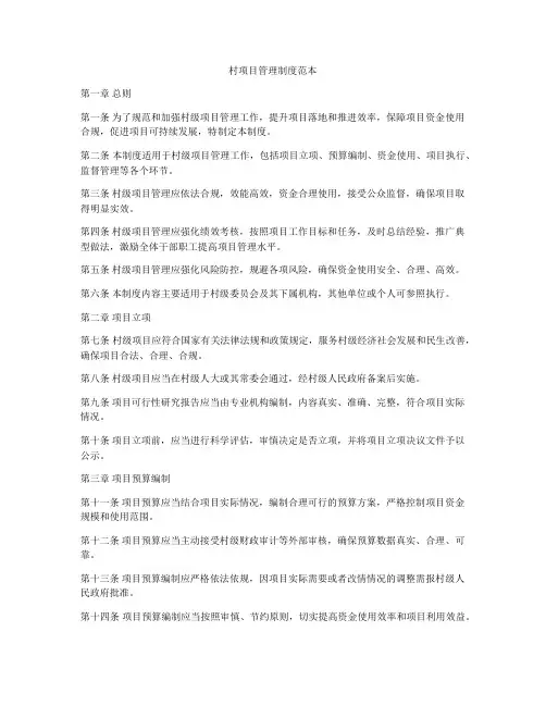 村项目管理制度范本