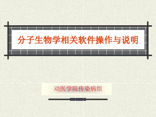 分子生物学相关软件操作与说明