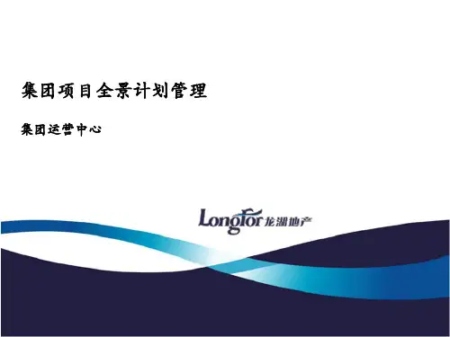【运营管理】龙湖地产项目全景计划管理办法