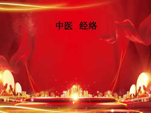 中医---经络ppt课件