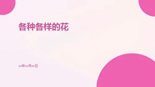 各种各样的花