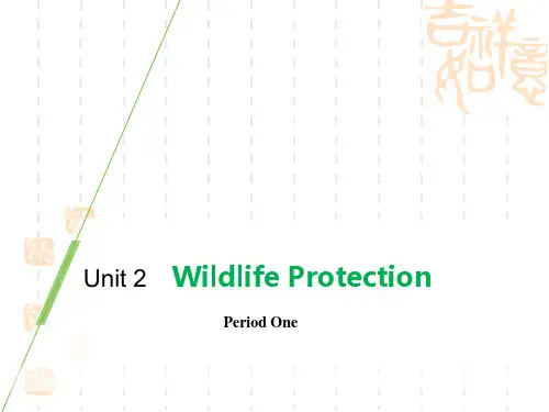 人教版高中英语必修二 《Wildlife Protection》Period One