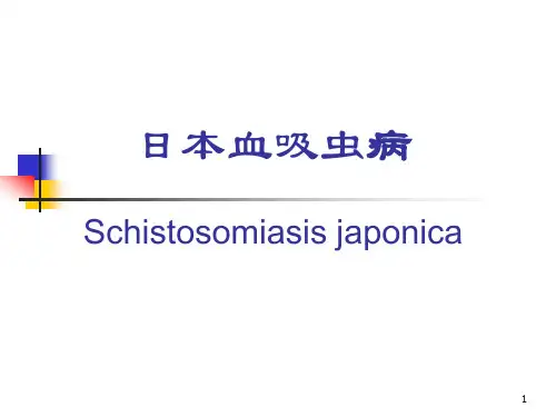 日本血吸虫病Schistosomiasis japonica