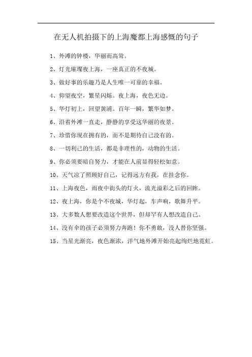 在无人机拍摄下的上海魔都上海感慨的句子