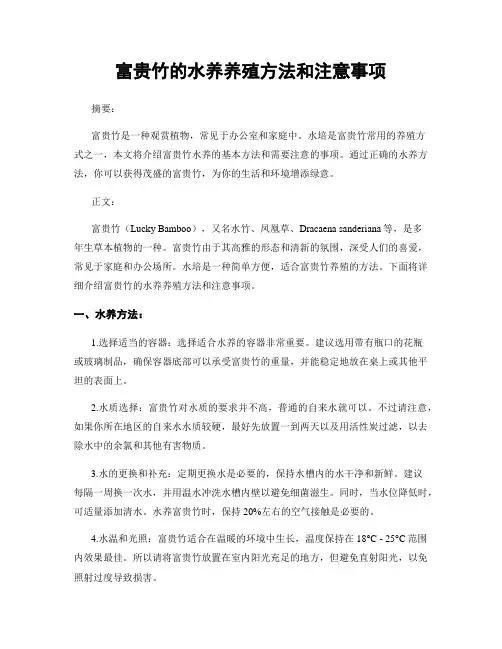 富贵竹的水养养殖方法和注意事项