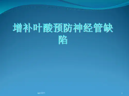 增补叶酸预防神经管缺陷ppt课件