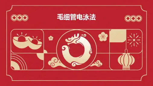 毛细管电泳法