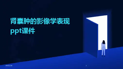肾囊肿的影像学表现ppt课件