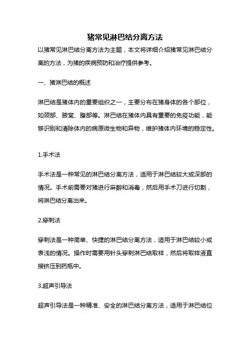 猪常见淋巴结分离方法