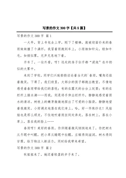 写景的作文300字【共5篇】