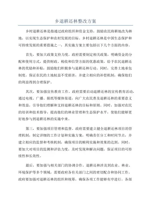乡退耕还林整改方案