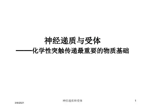 神经递质和受体培训课件