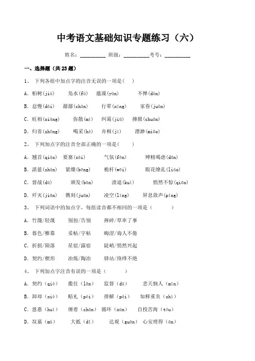 中考语文基础知识专题练习(六)