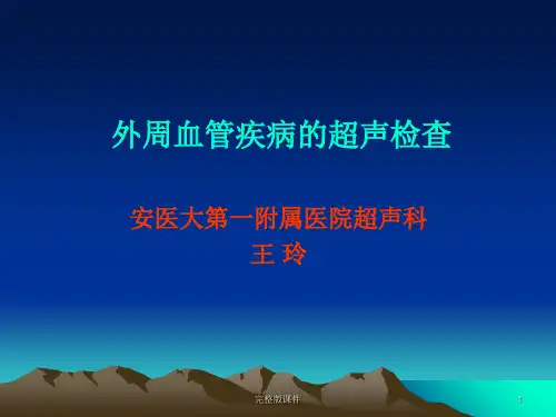 血管超声课件ppt课件