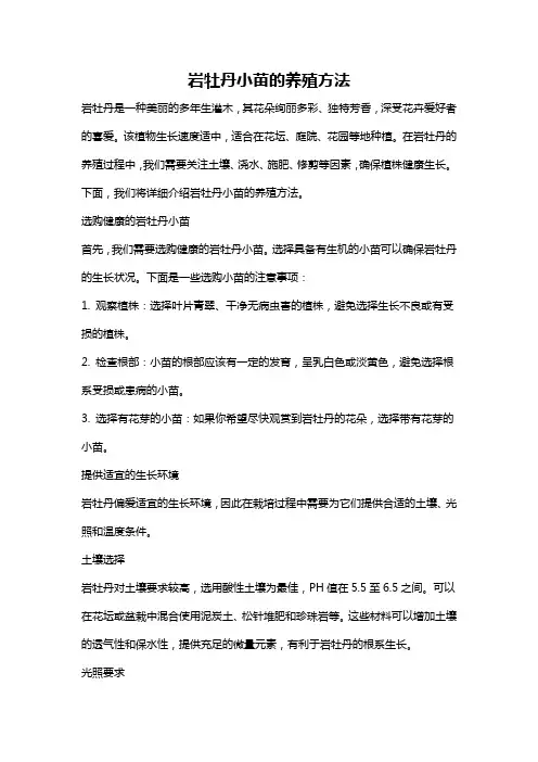 岩牡丹小苗的养殖方法