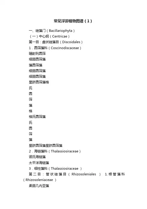 常见浮游植物图谱（1）