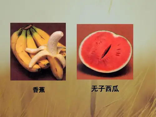 广东省广州市培才高级中学高中生物必修二课件5.2 染色体变异