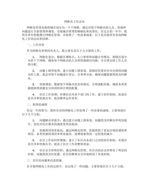 网格化工作总结
