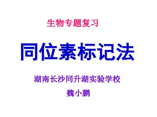 同位素标记法专题复习