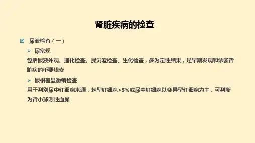 肾脏疾病的检查
