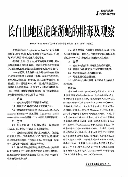 长白山地区虎斑游蛇的排毒及观察