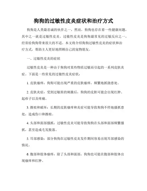 狗狗的过敏性皮炎症状和治疗方式