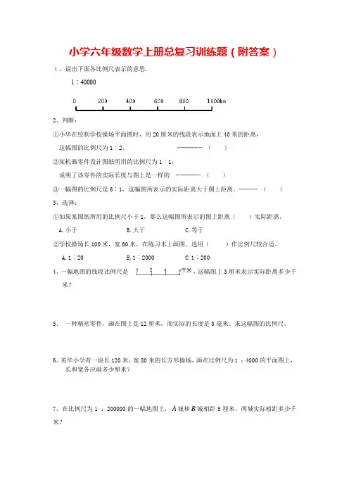 人教版小学六年级数学上册总复习训练题(附答案)