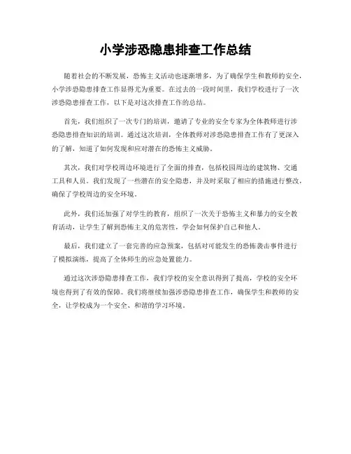 小学涉恐隐患排查工作总结