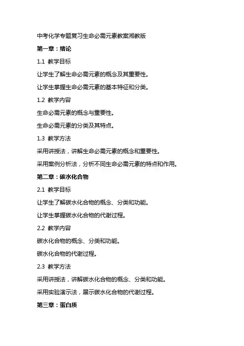 中考化学专题复习生命必需元素教案湘教版