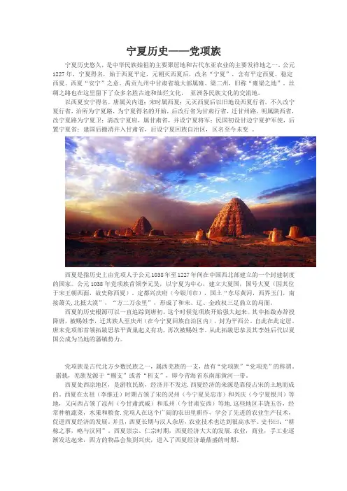 宁夏历史党项族