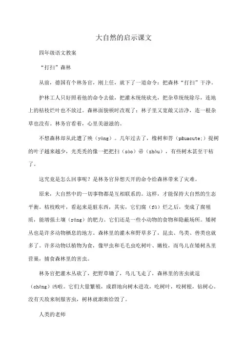 小学四年级语文大自然的启示课文