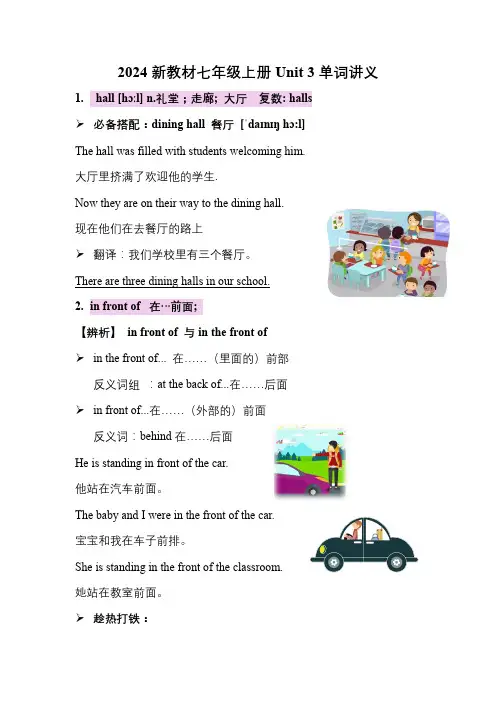 2024新人教英语七上：Unit 3 单词讲义(学生版)