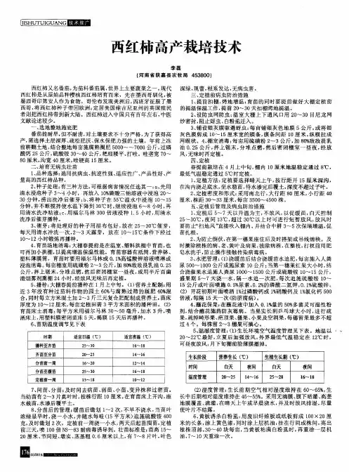 西红柿高产栽培技术