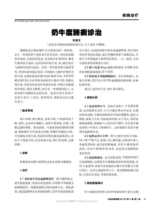 奶牛腐蹄病诊治____