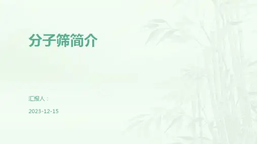 分子筛简介