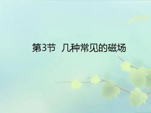 3.3几种常见的磁场