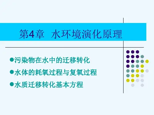 教案第4章水环境演化原理