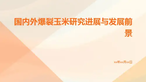 国内外爆裂玉米研究进展与发展前景