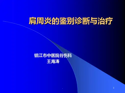 肩痛ppt课件