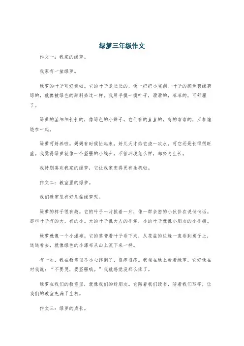 绿箩三年级作文