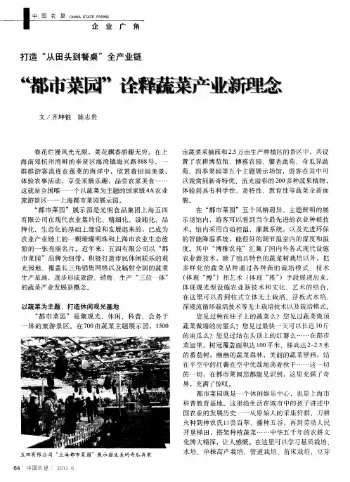 “都市菜园”诠释蔬菜产业新理念