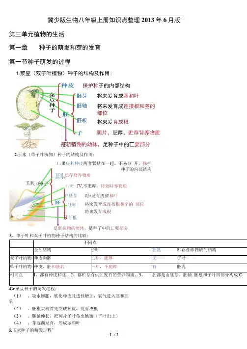 冀少版八年级生物上复习提纲打印