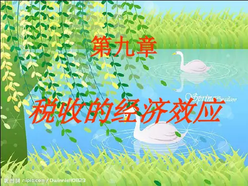 ch09税收的经济效应财政学教学课件
