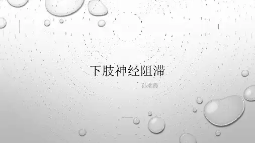 下肢神经阻滞