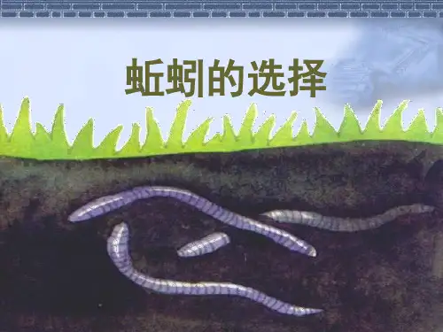 教科版科学五年级上册《蚯蚓的选择》教学课件