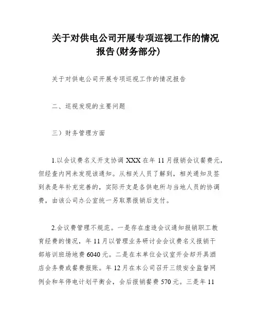 关于对供电公司开展专项巡视工作的情况报告(财务部分)