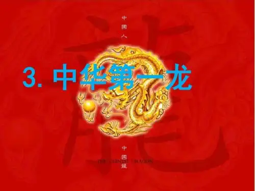 中华第一龙课件