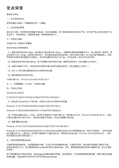 定点突变——精选推荐